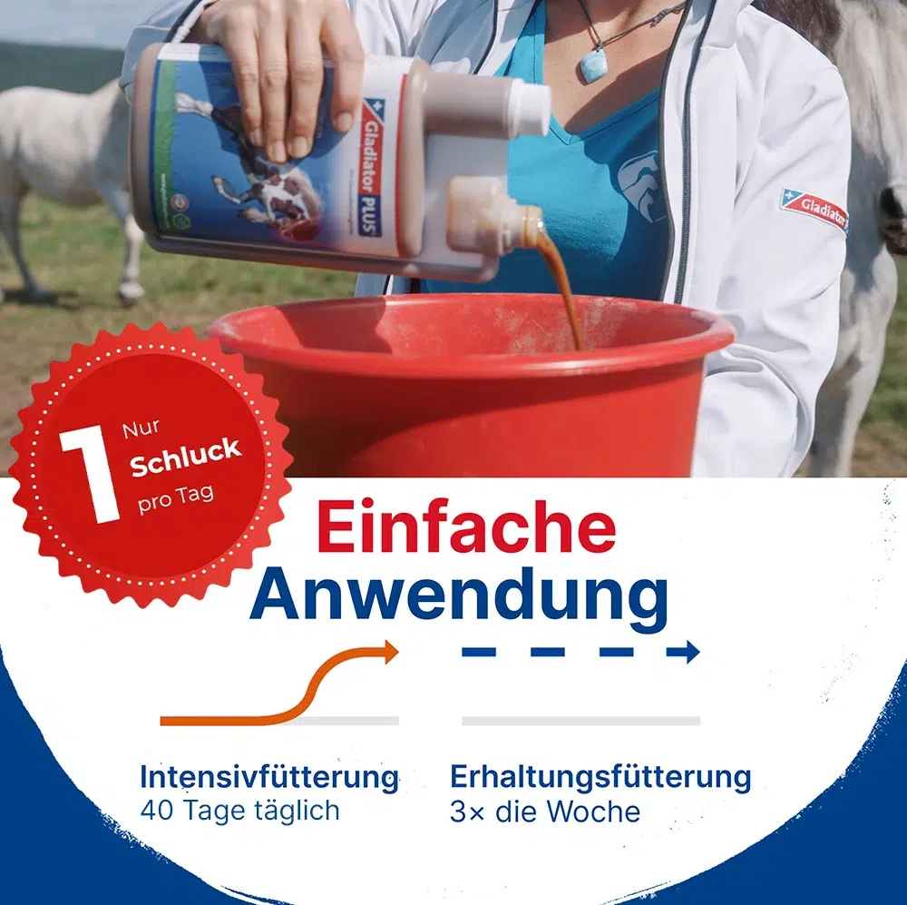 GladiatorPLUS Pferd 3 GladiatorPLUS Pferd – Bild 3